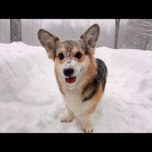 Meet your Posher, Kelley